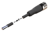 NXOC12221203 - 4 - Anschlusskabel M12 4 pin Buchse gerade, Kabel PUR 3 m mit offenen Enden