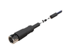 NXOC08041103 - 3 - Kabel przyłączeniowy M8 3 pin żeński prosty, przewód PVC 3 m z otwartymi końcówkami