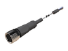NXOC12221205 - 1 - Anschlusskabel M12 4 pin Buchse gerade, Kabel PUR 5 m mit offenen Enden