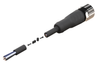 NXOC12221205 - 3 - Anschlusskabel M12 4 pin Buchse gerade, Kabel PUR 5 m mit offenen Enden