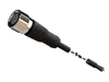 NXOC12221205 - 5 - Anschlusskabel M12 4 pin Buchse gerade, Kabel PUR 5 m mit offenen Enden